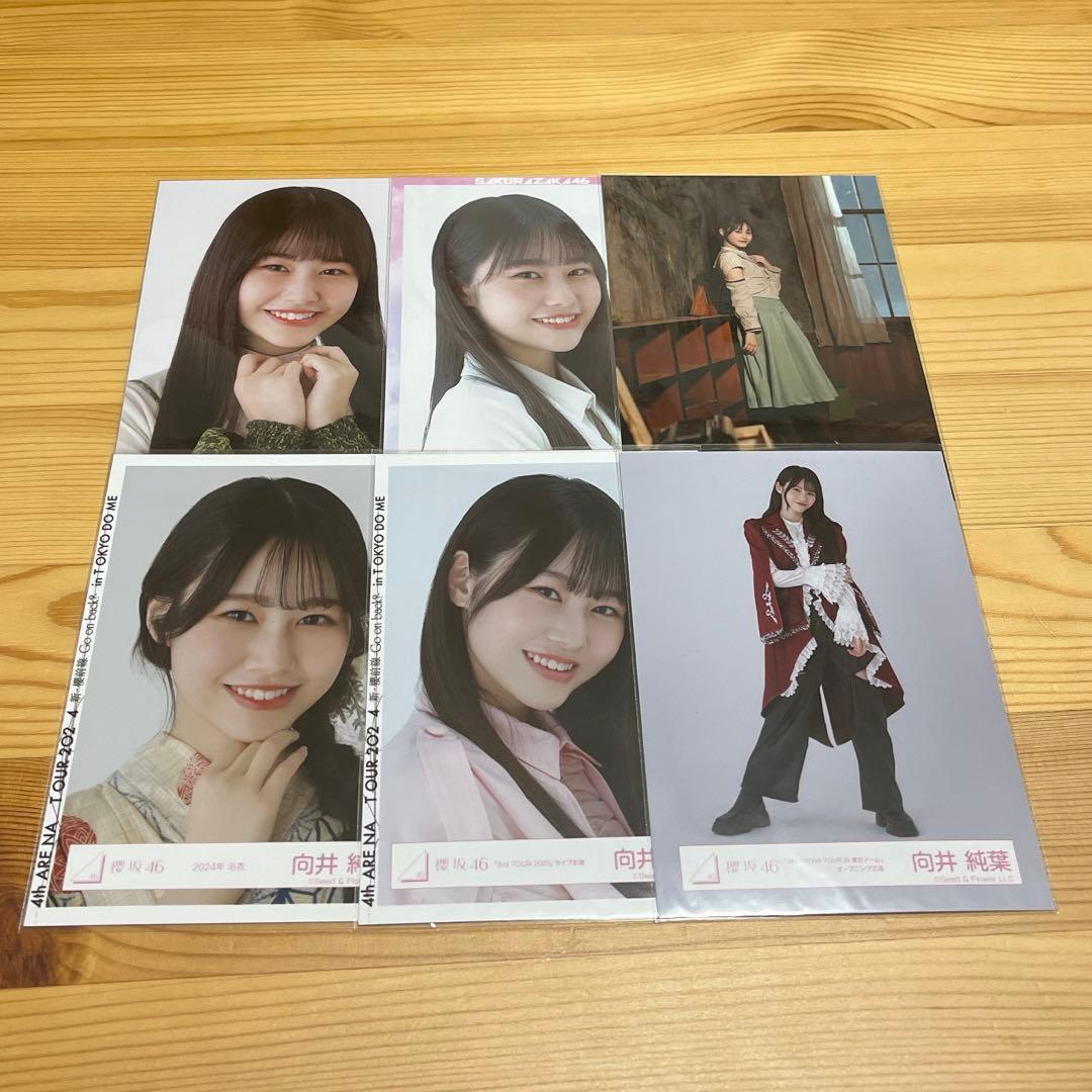 櫻坂46 向井純葉 生写真 まとめ売り - メルカリ