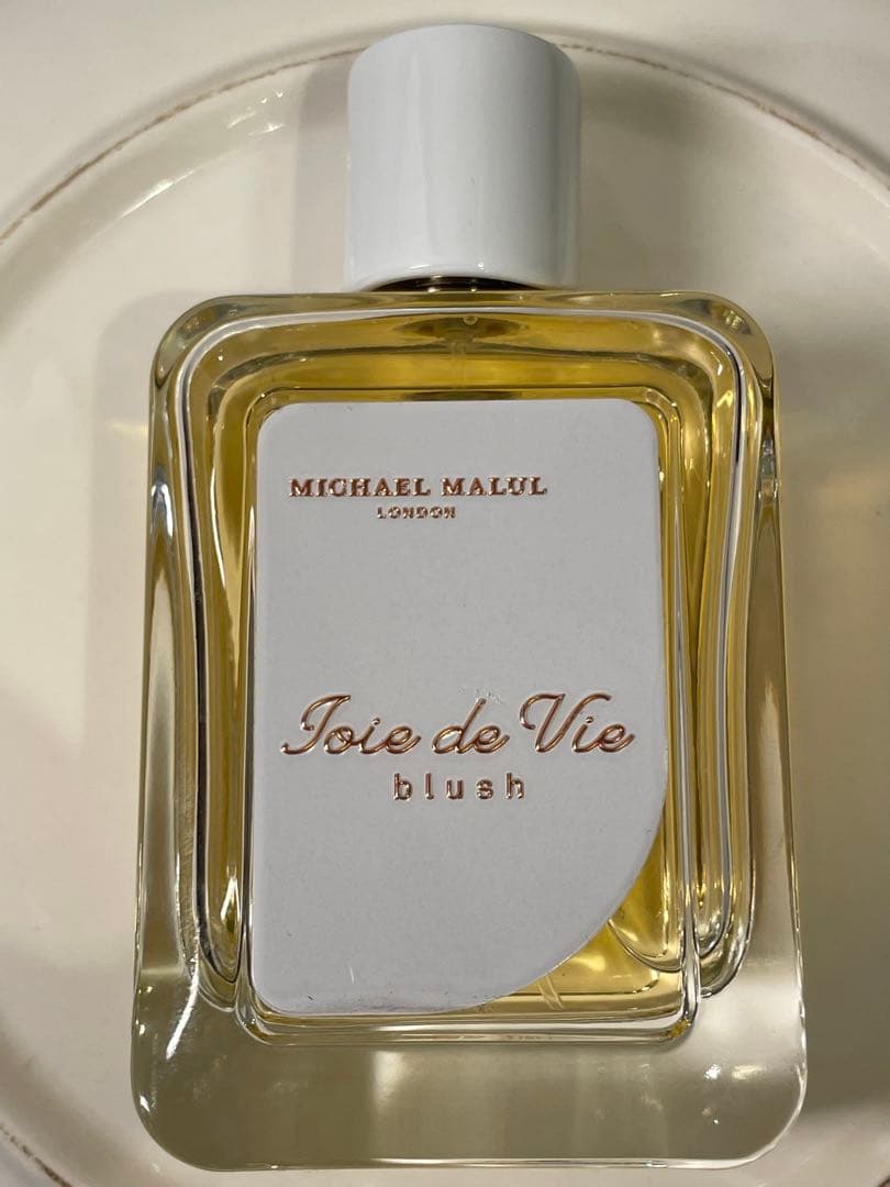 【試し使いのみ】JoieDeVieBlush by Michael Malul SHINYGEL Mio：ベーシックセット（ピールベース、ワイプレストップ