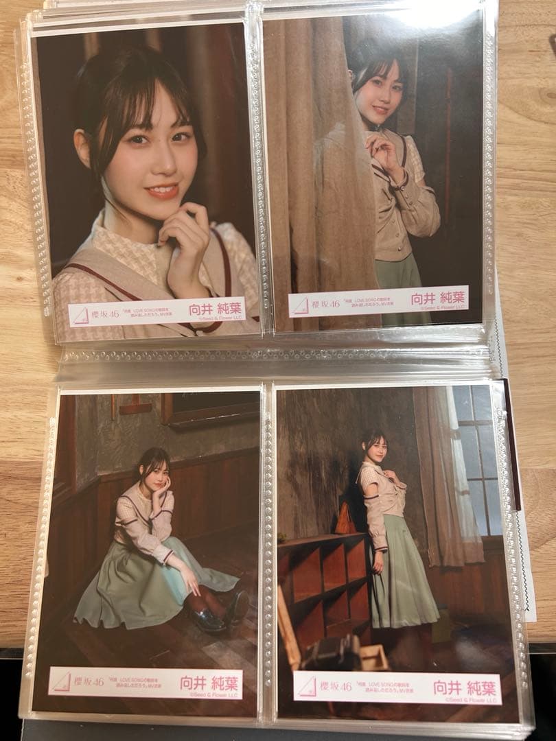 櫻坂46 向井純葉 何ラブ 生写真 コンプ - メルカリ