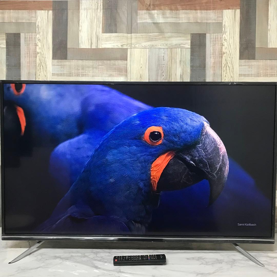 即日受渡❣️全国送料込 グリーンハウス49型、高性能東芝LSI搭載4k液晶