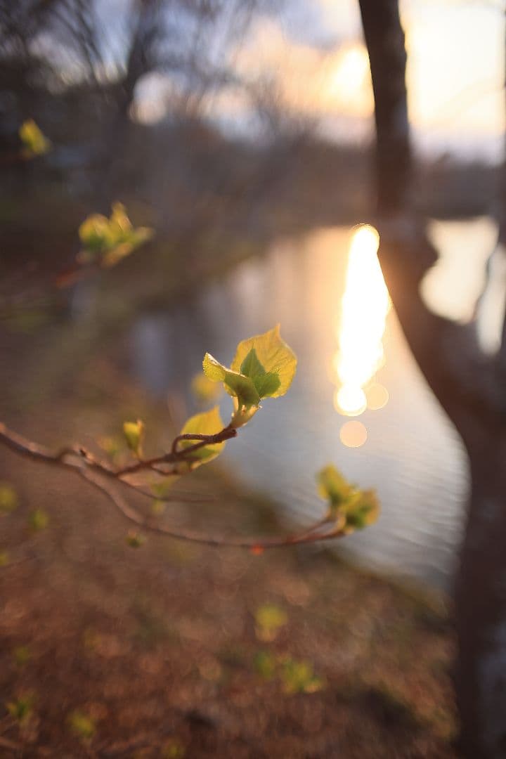 《希少》KINO PRECISION KIRON 28mm F2 MC【良品】