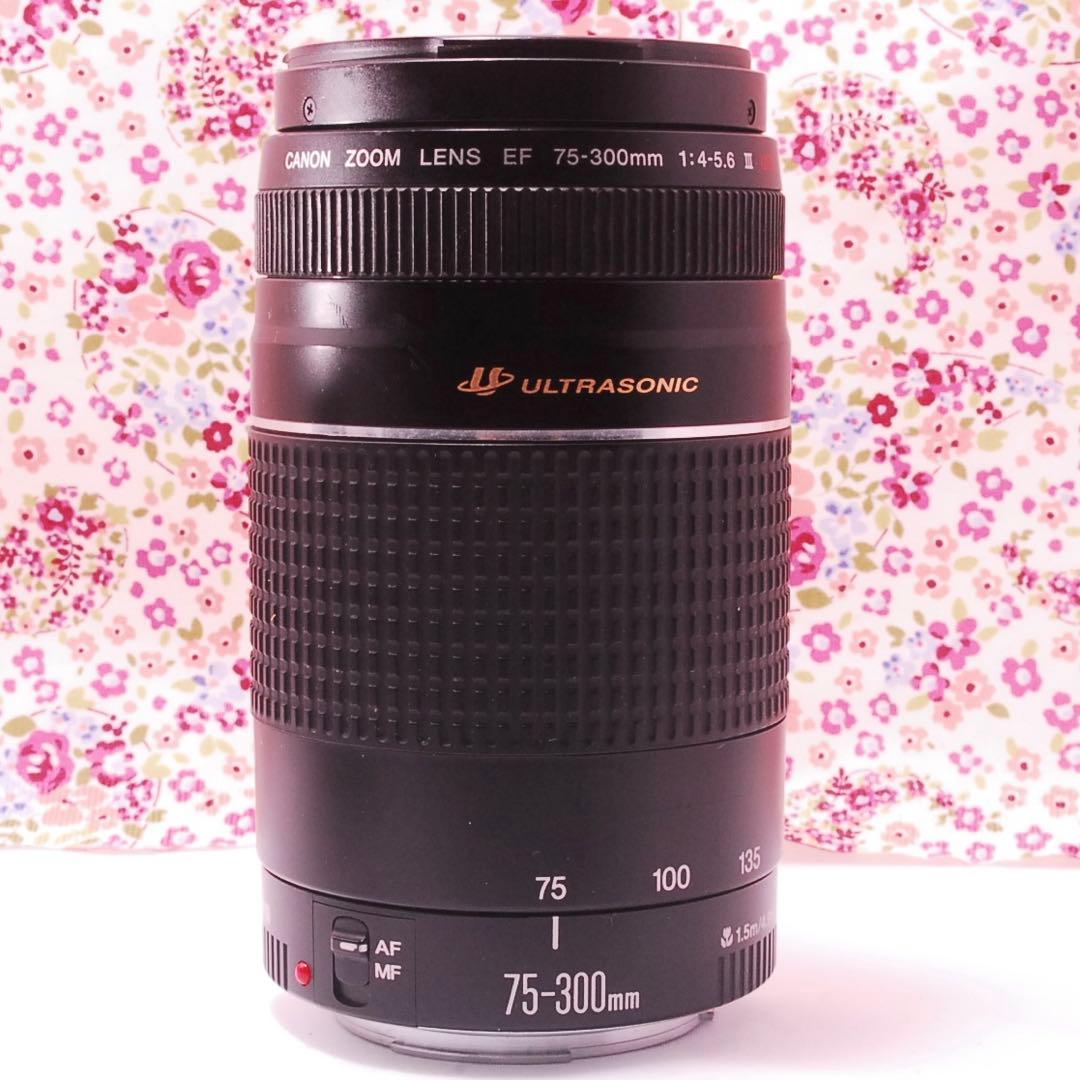 【動作確認済】Canon 75-300mm F/4-5.6 II USM