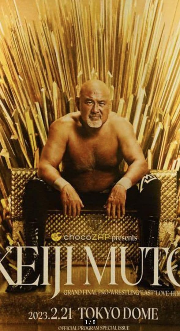 PRO-WRESTLING NOAH 武藤敬司引退試合パンフレット等 - メルカリ