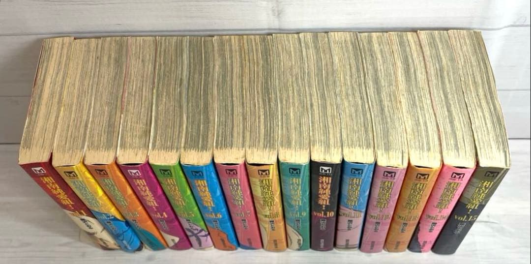 全巻】 湘南純愛組 全15巻セット 全巻初版 藤沢とおる GTO 鬼塚英吉