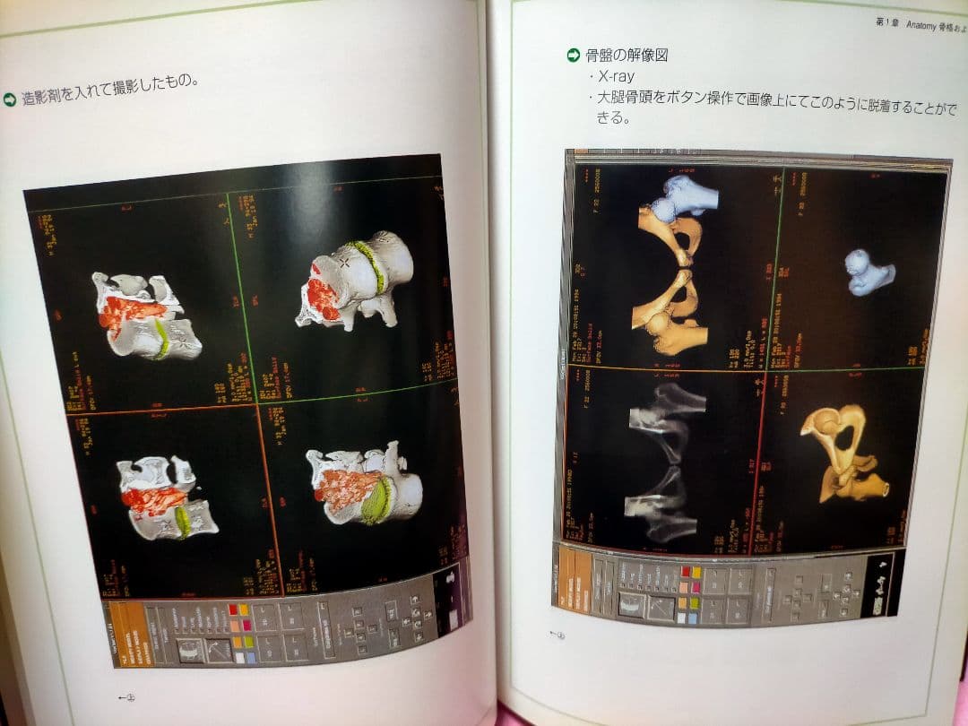 カイロオステ技法 白井秀道著