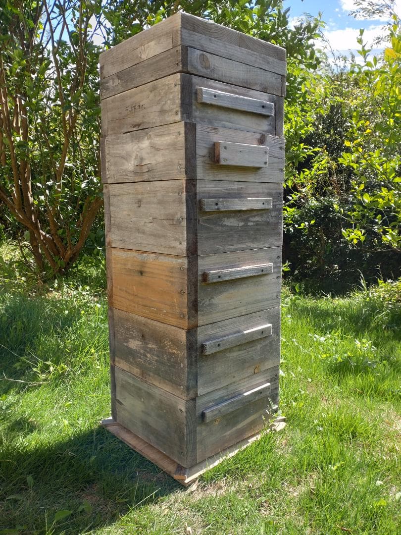 日本蜜蜂重箱式巣箱（自然入居＆営巣実績有・中古）6段・すのこ/底板/蓋/蜜蝋つき k*o様 日本蜜蜂重箱式巣箱（自然入居＆営巣実績有・中古）5段・すのこ