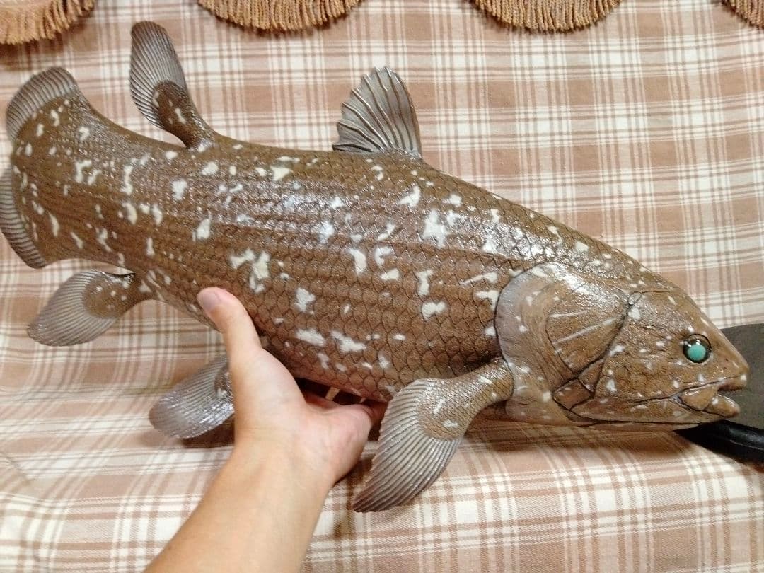 ハンドメイド　61cmシーラカンス　茶色　フィギュア　レプリカ　化石魚　置物 シーラカンス（25cm型）・陶芸作品 置物（陶 さかな フィギュア） 立体