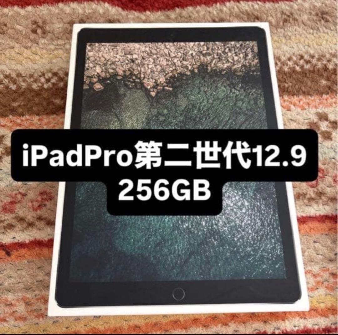 iPad Pro 第2世代 12.9インチ 256GB 美品❗️ 値段交渉可能‼️ - メルカリ