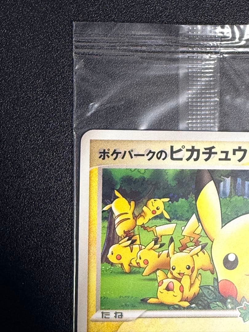 未開封』ポケパークのピカチュウ ピカチュウの森（2005年） ポケモン