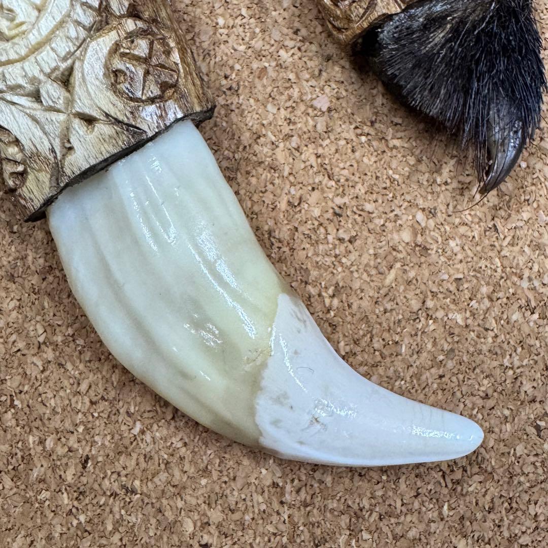 確認専用ページ 熊爪&熊牙SET - メルカリ