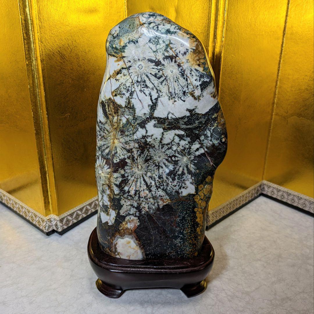 菊花石 岐阜県根尾谷産4.0㌔ 鑑賞石 観賞石 水石 盆石 鉱物 天然石