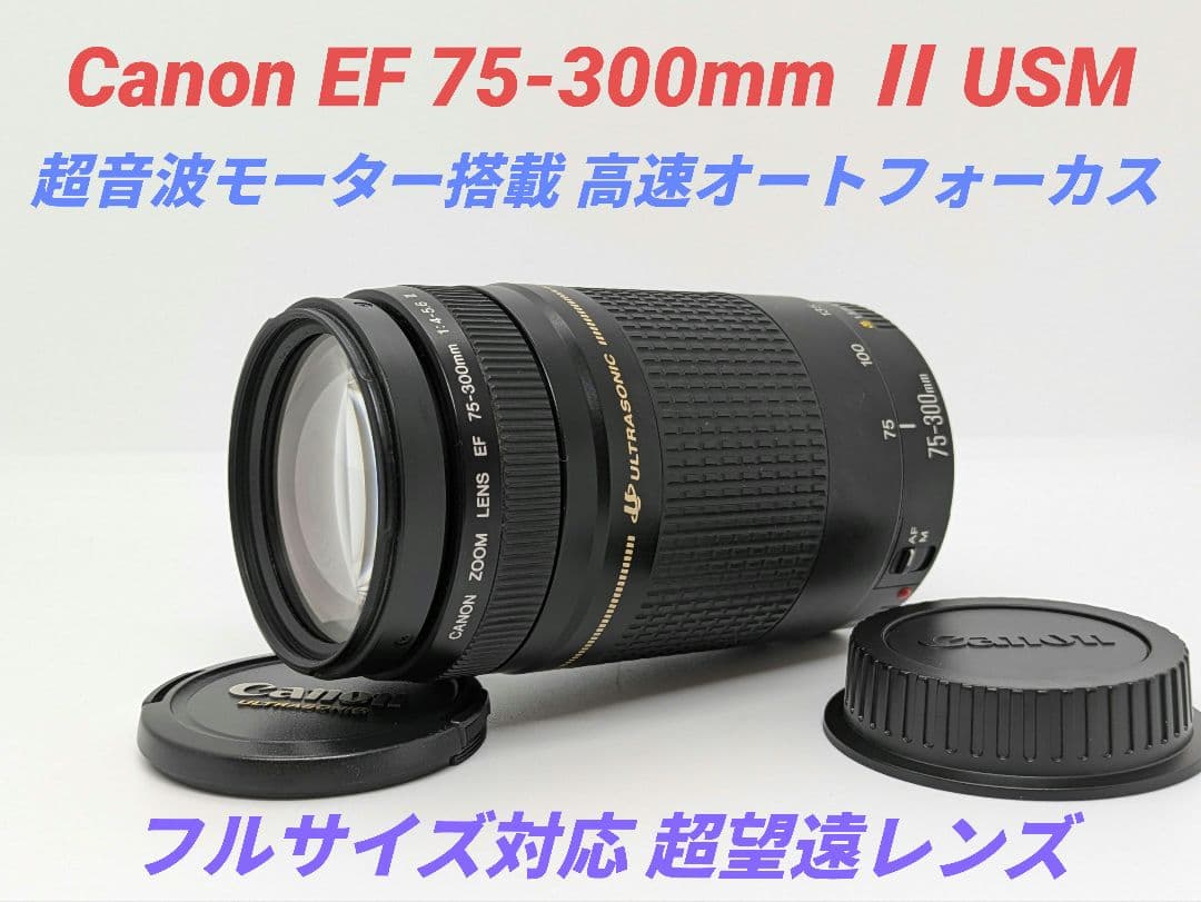 1月18日限定①OP付【超望遠】Canon EF 75-300mm Ⅱ USM 9月27日限定♪Canon EF 75-300mm IS USM 9月27日
