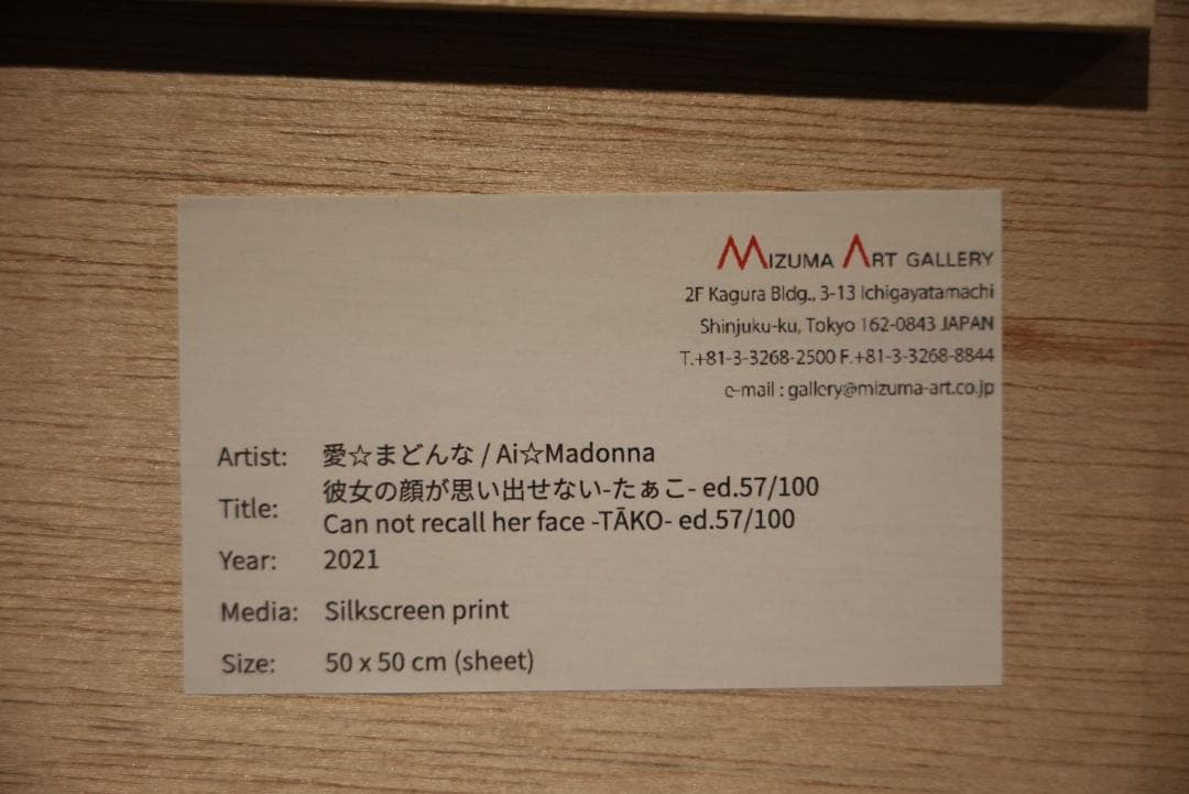 【直筆サイン限定57/100】愛☆まどんな「彼女の顔が思い出せない -チカゲ-」