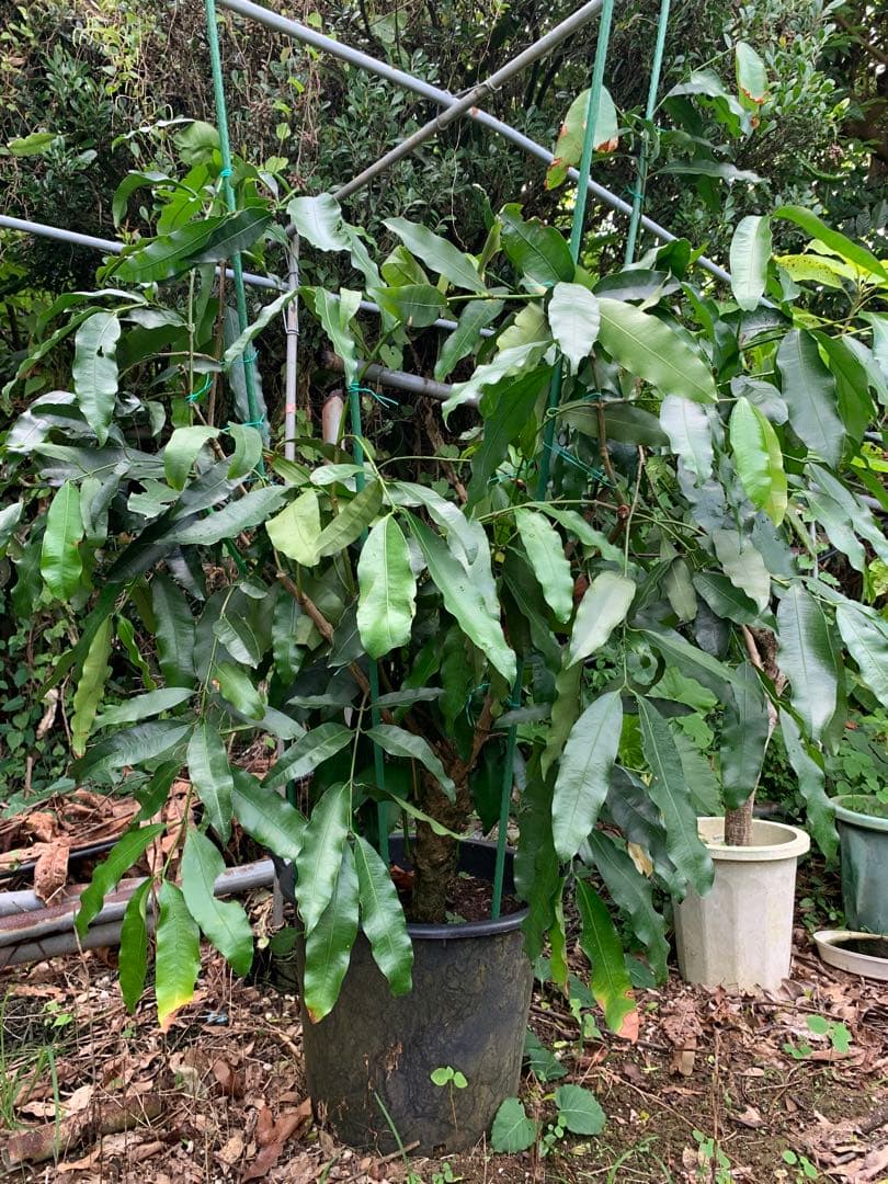 2005年 ガンダム展 ザク 戦争画 RETURNS 番外編 ポスター 会田誠