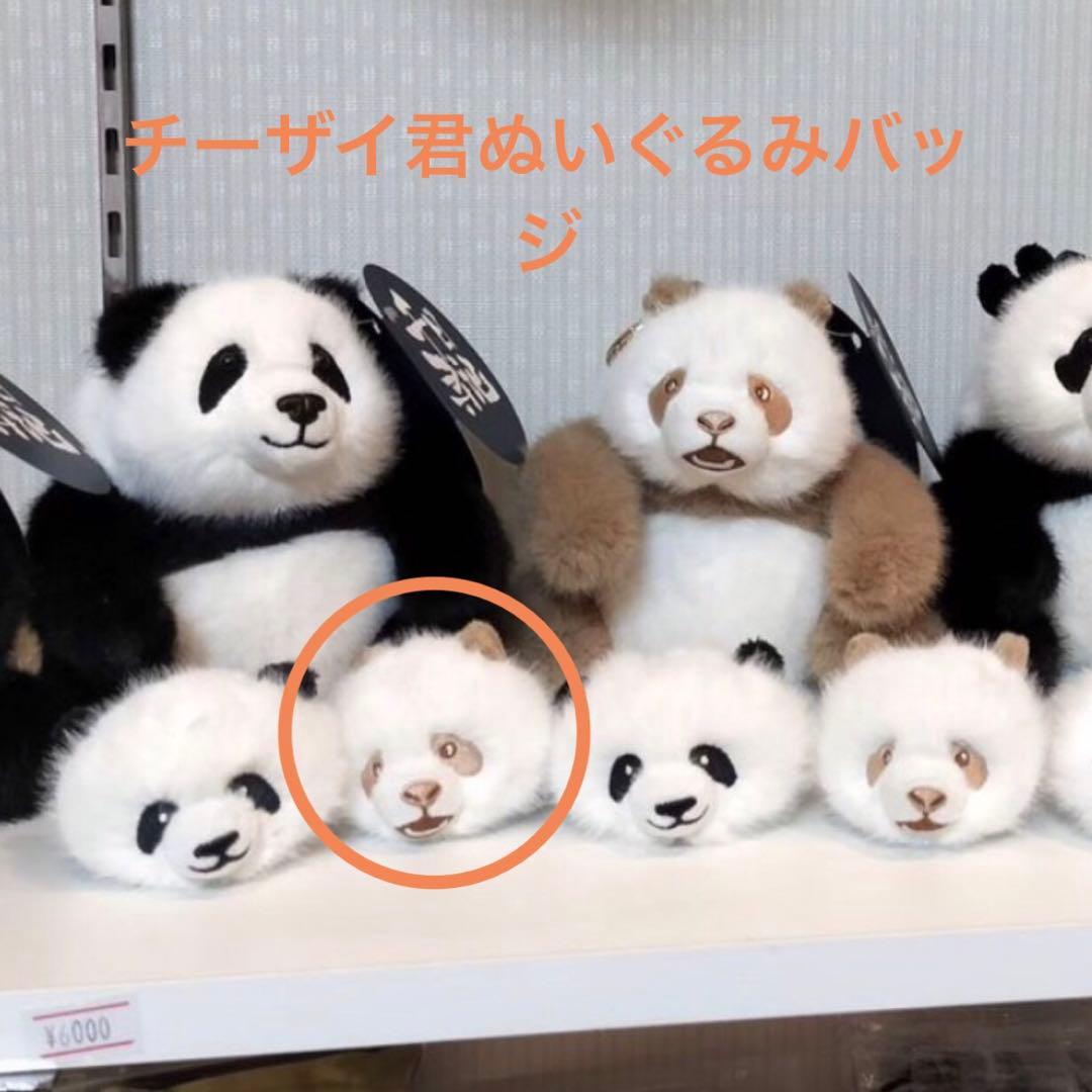 チーザイ君＊ぬいぐるみバッジ☆おまけ付き - メルカリ