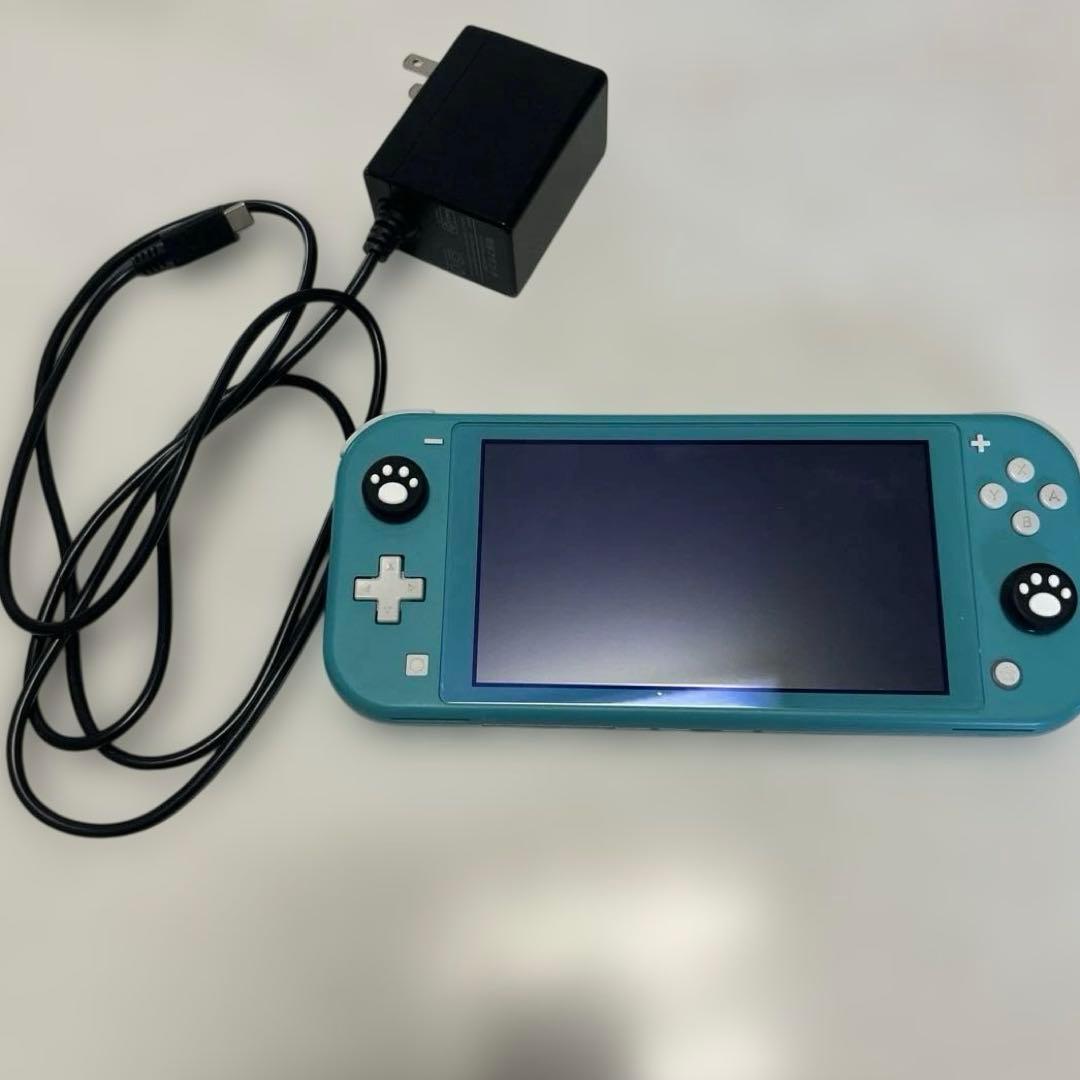 Switch lite本体 電源アダプタ Nintendo Switch 純正新品 SWITCH LITE ニンテンドー スイッチライト