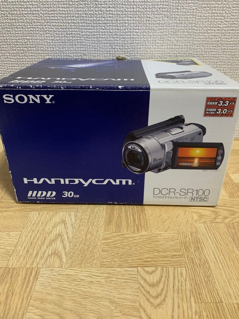 SONY ハンディカム DCR-SR100 ソニー 衝撃を受けても撮影し続けるHDDビデオカメラ――ソニー「DCR-SR100