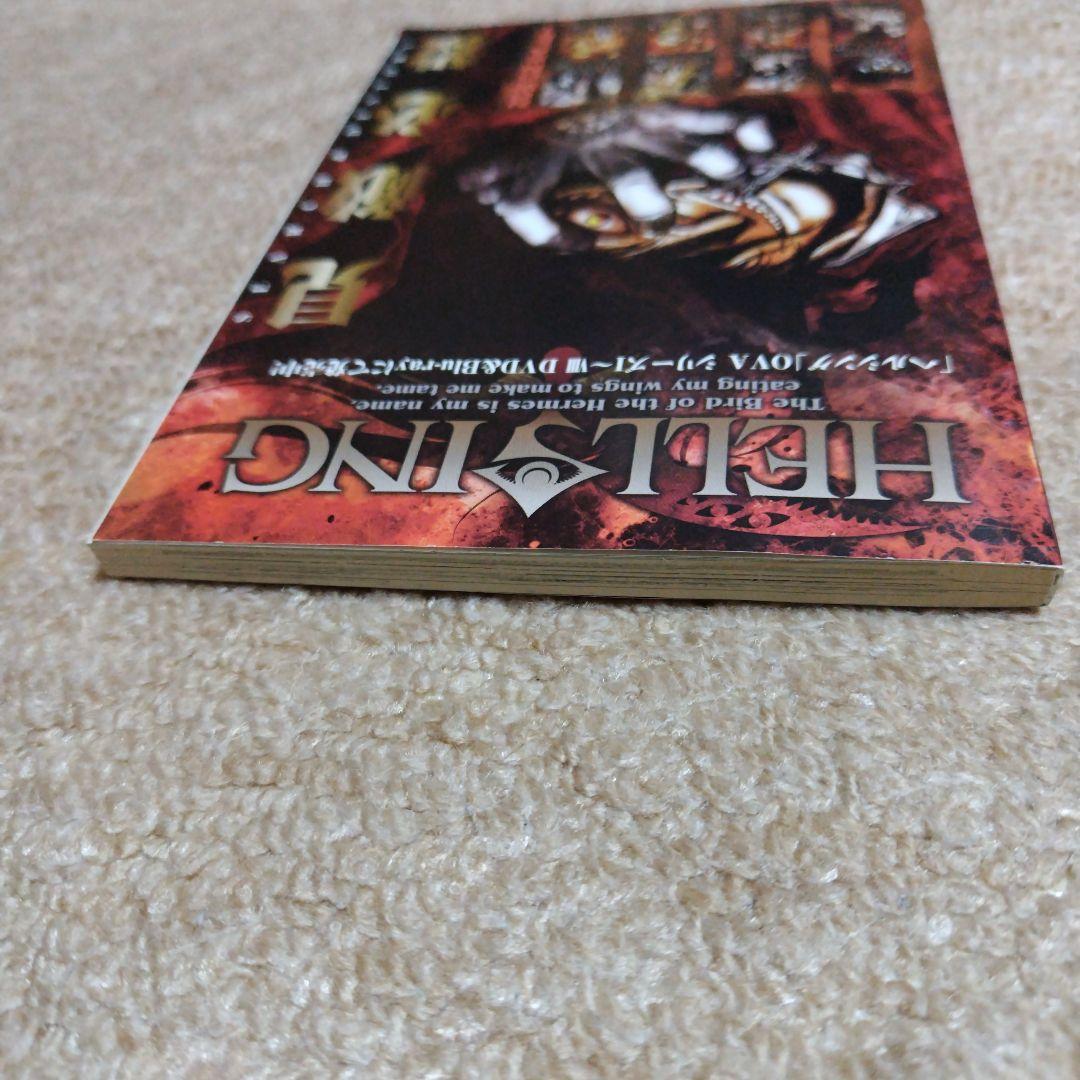 ヘルシング外伝 平野耕太 ヤングキングアワーズ特別付録 - メルカリ