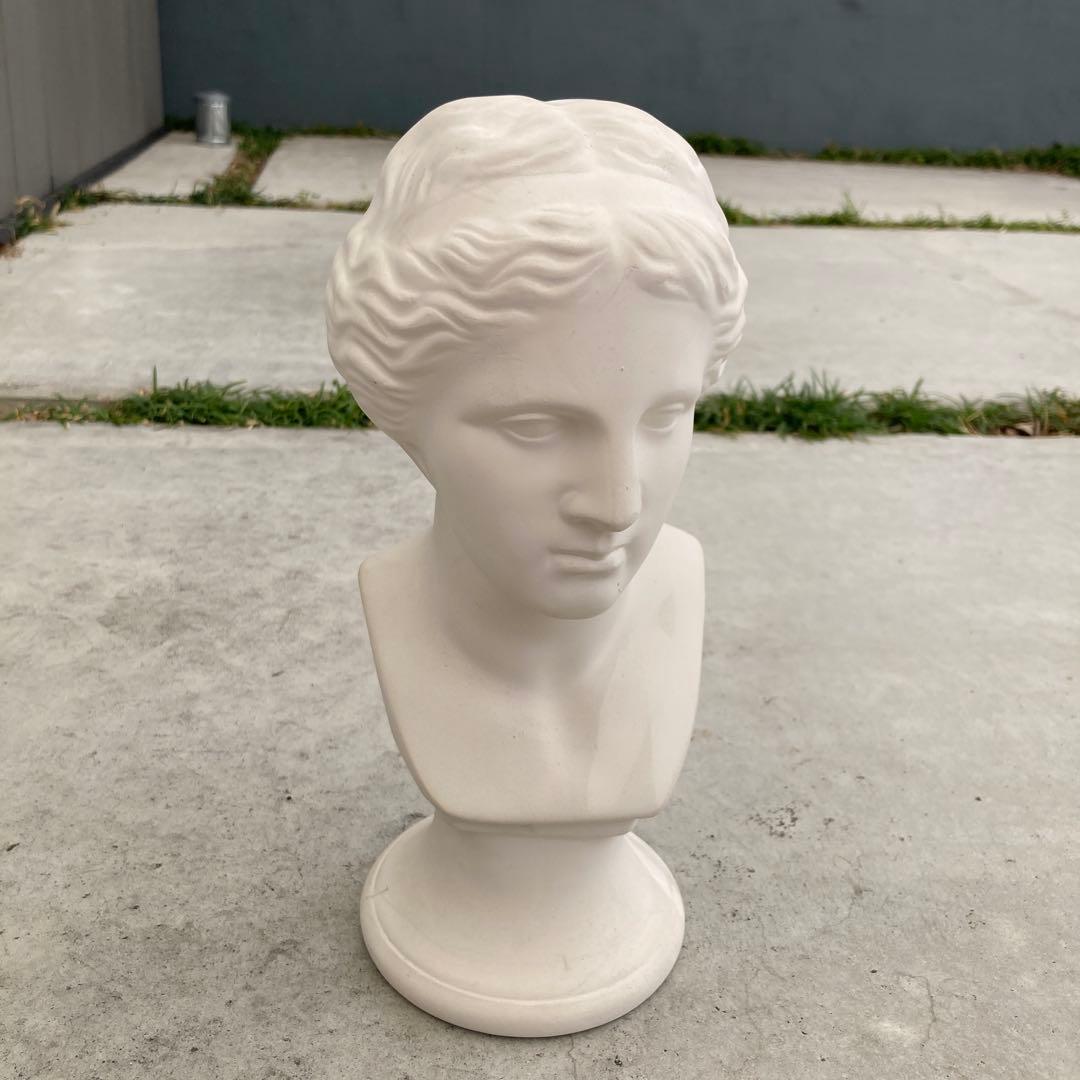 ミロのヴィーナス 胸像 石膏像 顔 美術 スケッチ インテリア 美大受験 石膏デッサン：ミロのヴィーナス首像》新美 制作プロセス動画シリーズ