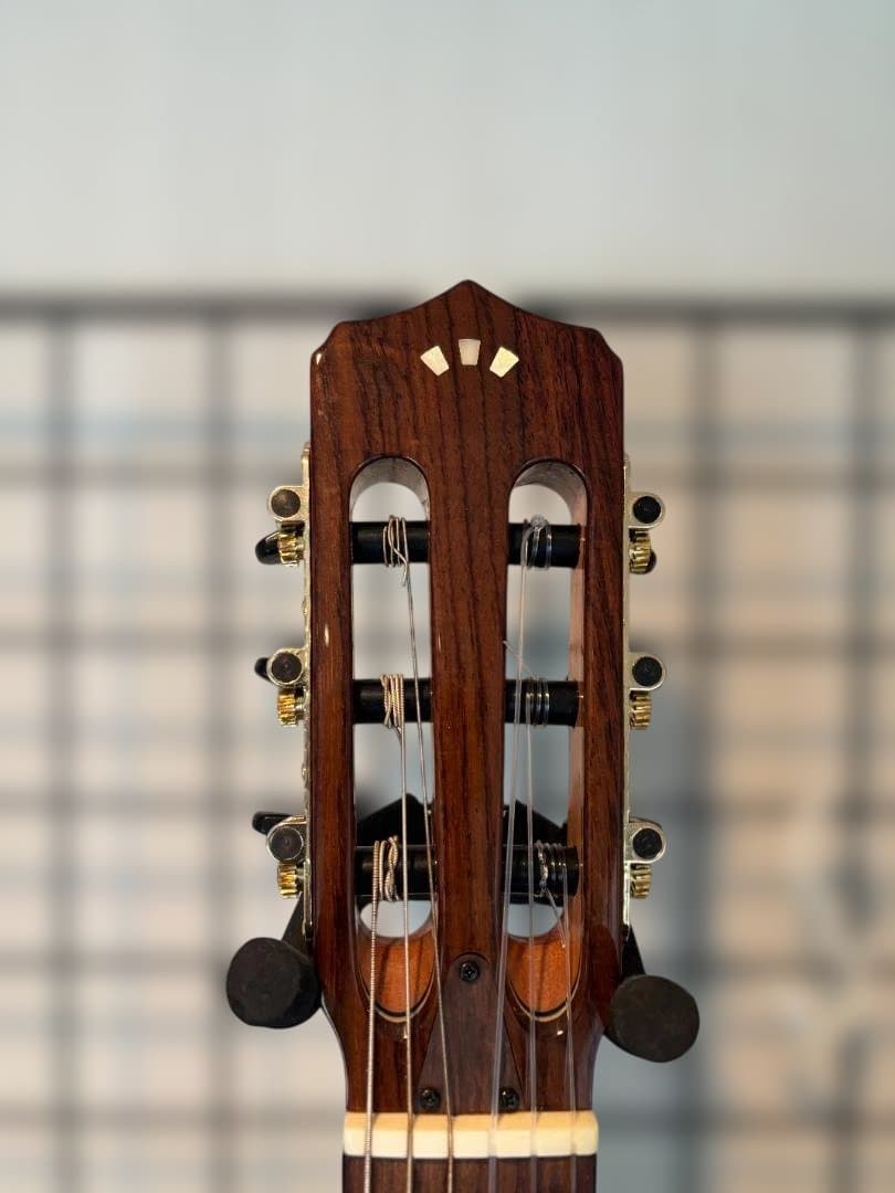 Cordoba STAGE エレガット 動作確認済み 純正ギグバック付き - メルカリ