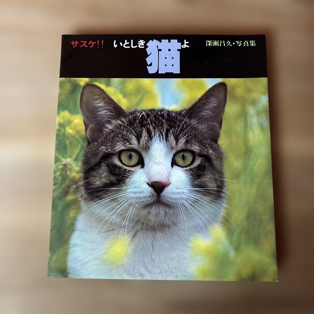 深瀬昌久　サスケ!!いとしき猫よ　写真集 サスケ！！ いとしき猫よ（First Printing） - 深瀬 昌久 / Masahisa