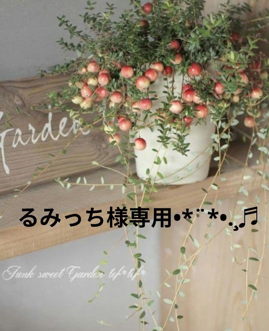 るみっちページ♬.*゜ Z/X -Zillions of enemy X- iDOL project Album 「Make your 