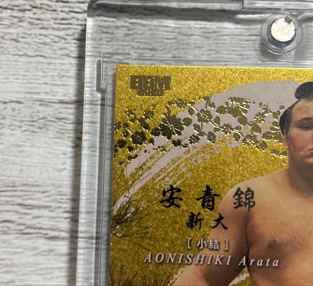 大相撲 BBM 2026 SUMO CARDSインサートカード明星 安青錦 優勝 - メルカリ