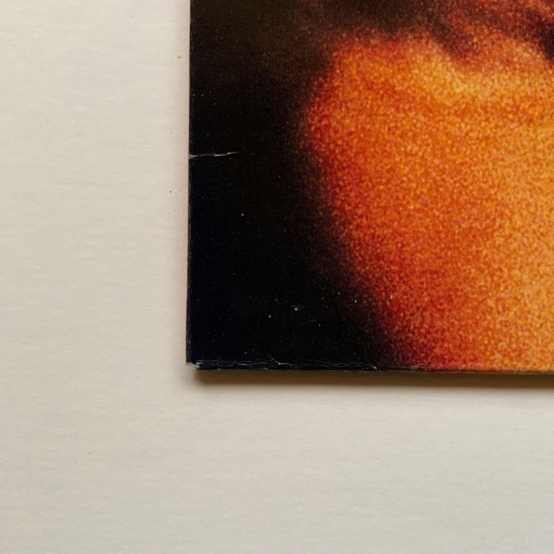 HOLE / Live Through This / EFA 04935-1 - その他高 品質