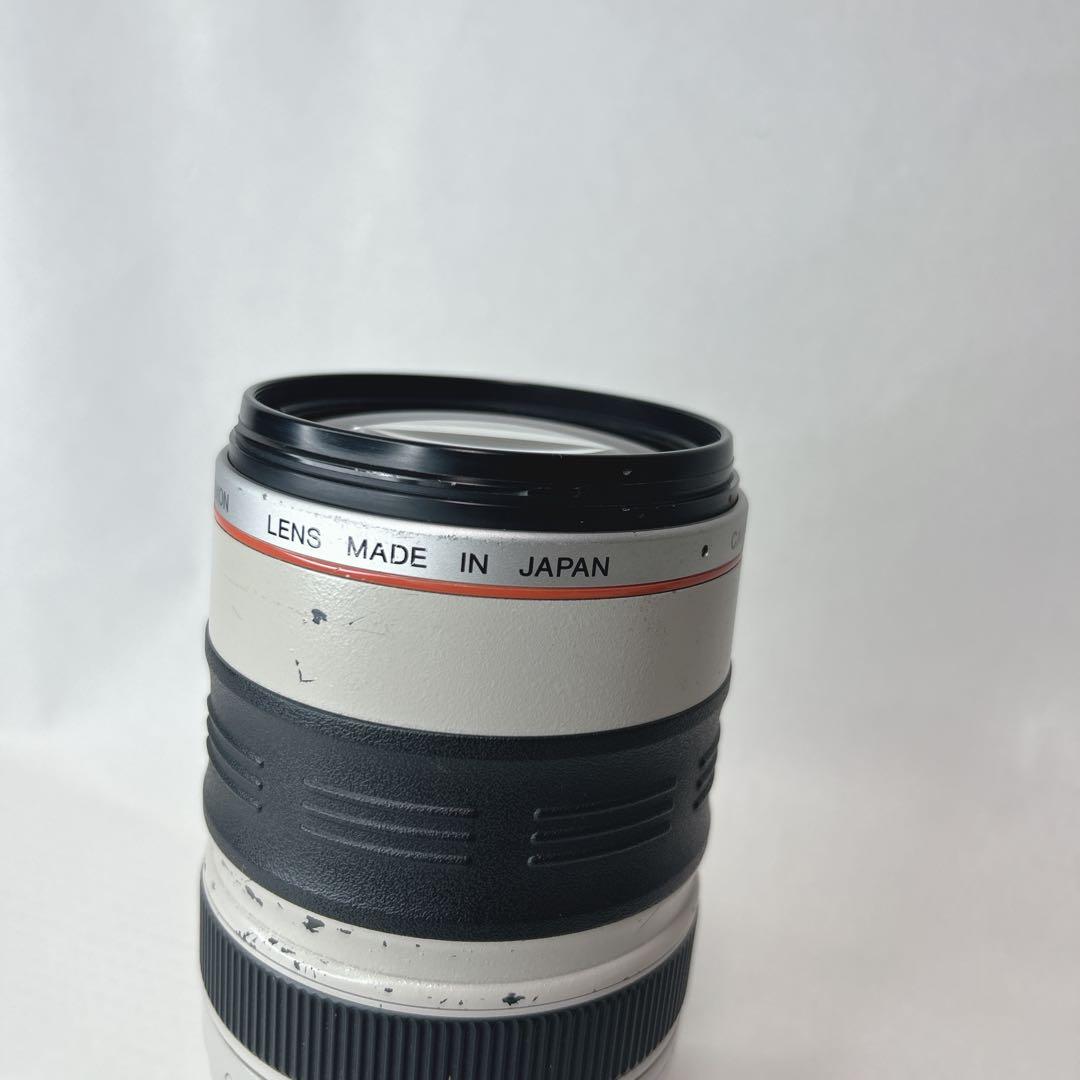 レンズ(ズーム) Canon EF 35-350mm F3.5-5.6 L USM