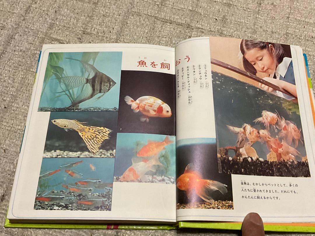 昭和47年3月10日第4刷発行／小学館入門百科シリーズ4。