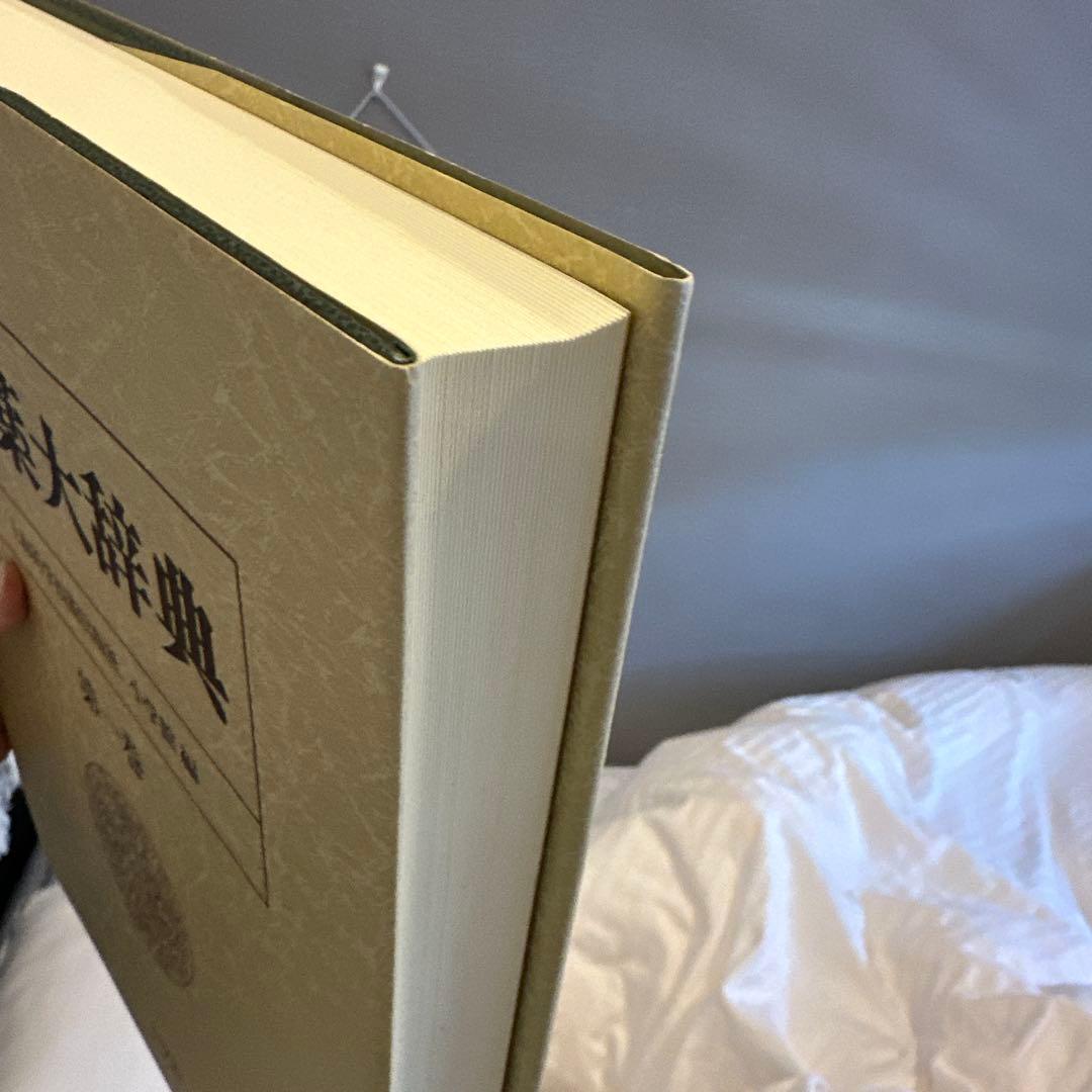 中薬大辞典 全５巻 小学館 編