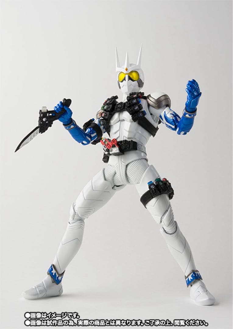 S.H.Figuarts（真骨彫製法） 仮面ライダーエターナル