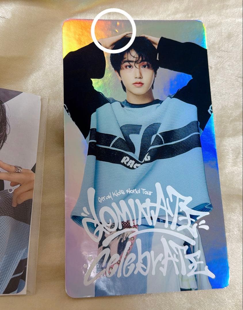 Straykids celebrATE ハン FANSリアルタッチ ラントレ - メルカリ