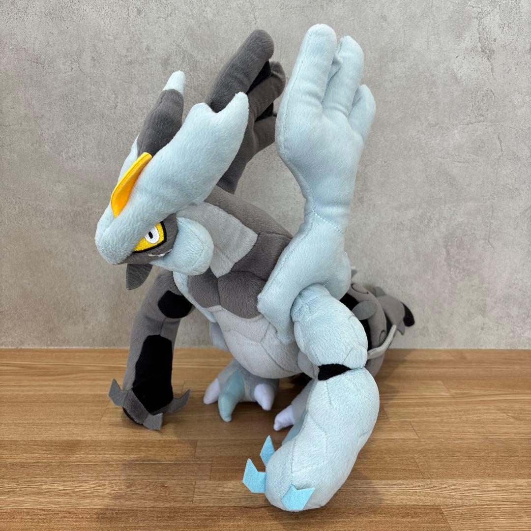 一点もの/廃盤/2012年】ホワイトキュレム ブラックキュレム ポケドール