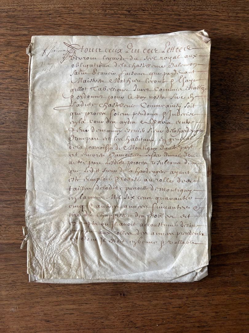 【アンティーク】羊皮紙 全12ページ綴1656年フランス 古文書 フランス古文書 羊皮紙1786年製 c-256 | Ivy