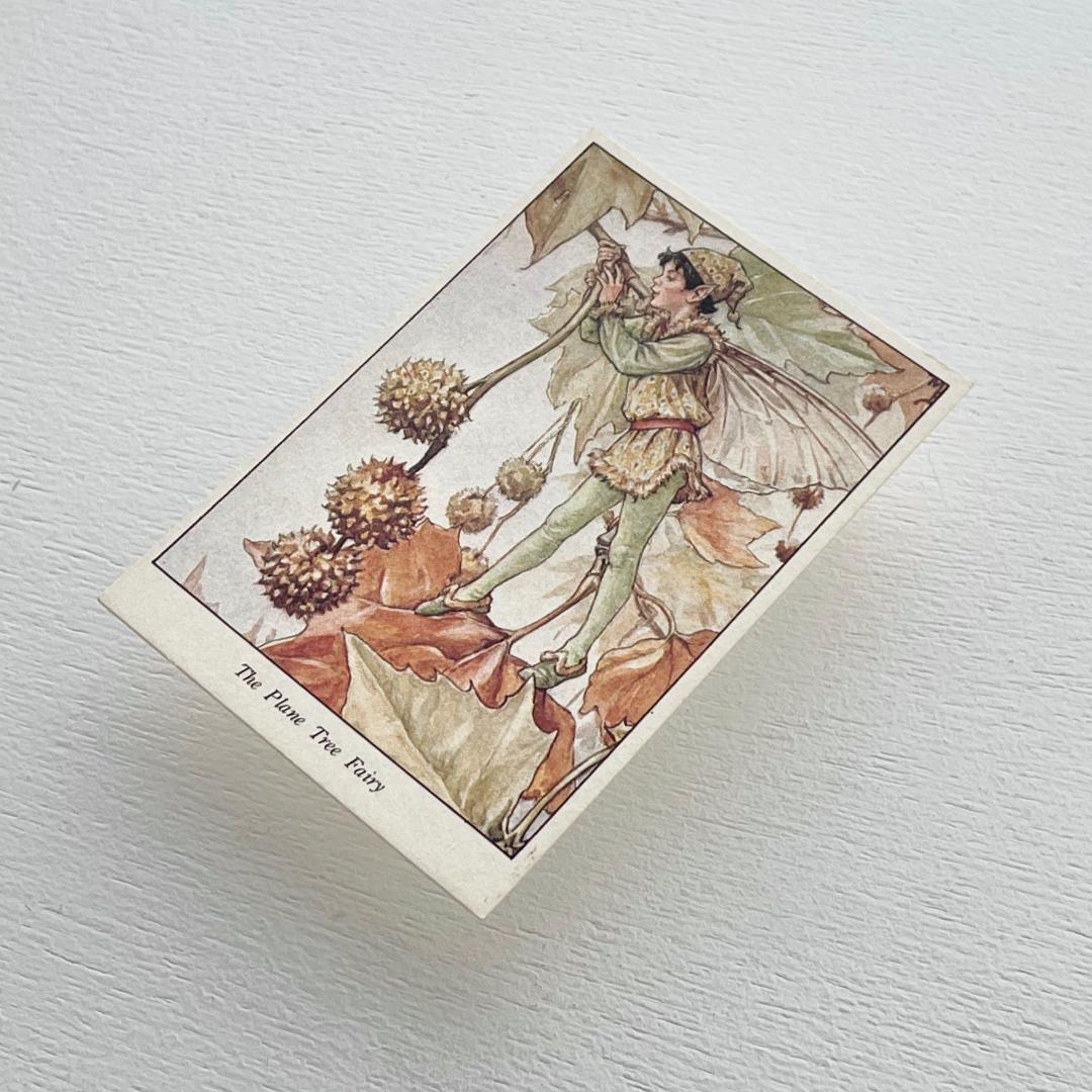 森永 ハイクラウン チョコレート ❤️ フラワー フェアリー カード #56