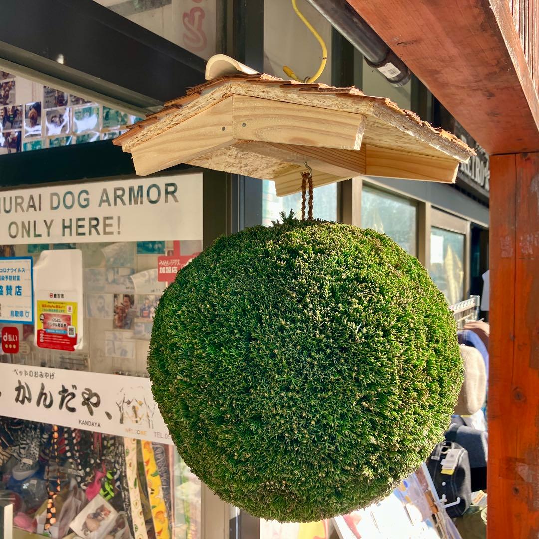 杉玉【屋根付き】③ - メルカリ