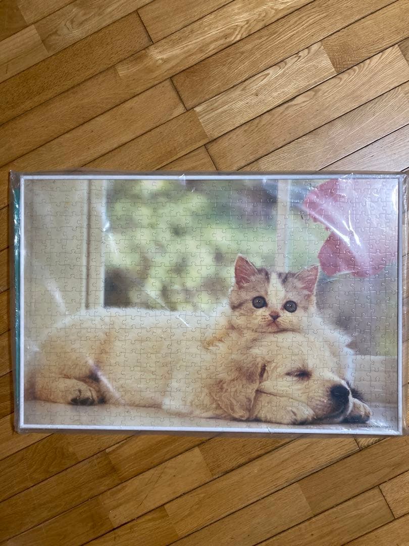 500P⑪犬と猫ᵔᴥᵔ 写真ジグソーパズル ホワイト額50×75㎝ 完成品