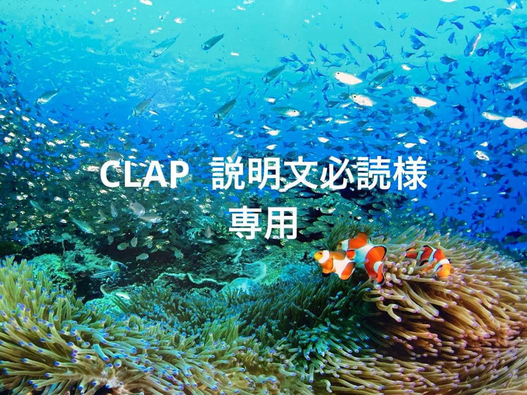 エンビロンCブーストクリーム Cクエンスセラム4プラス クリームプラス エンビロン公式】C－ブースト クリーム｜ビタミンAスキンケアの