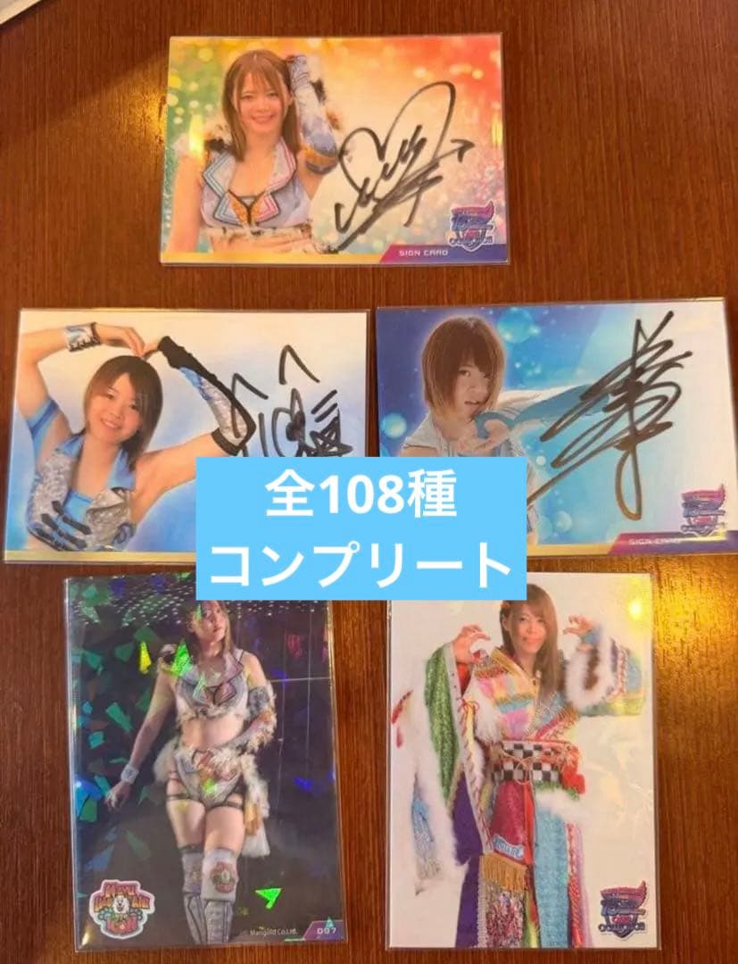 全108種 女子プロレス マリーゴールド 岩谷麻優 トレーディングカード