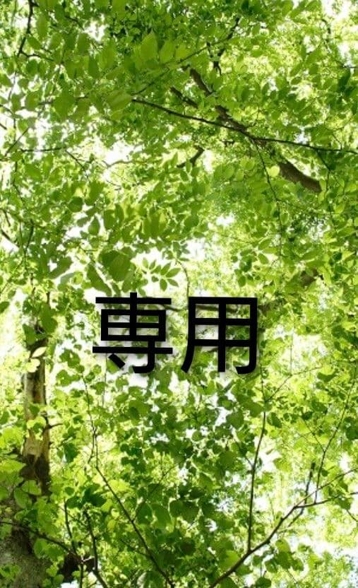 健康器具 送料込み どんな健康器具が気になりますか？｜ブログ｜淡路店｜PLANT公式サイト