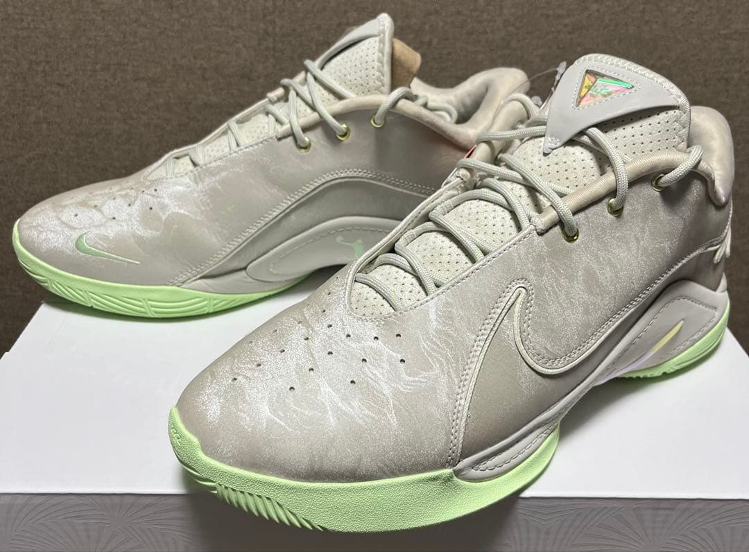 NIKE LEBRON 22 EP ナイキ レブロン 30cm 箱付き - シューズ(男性用