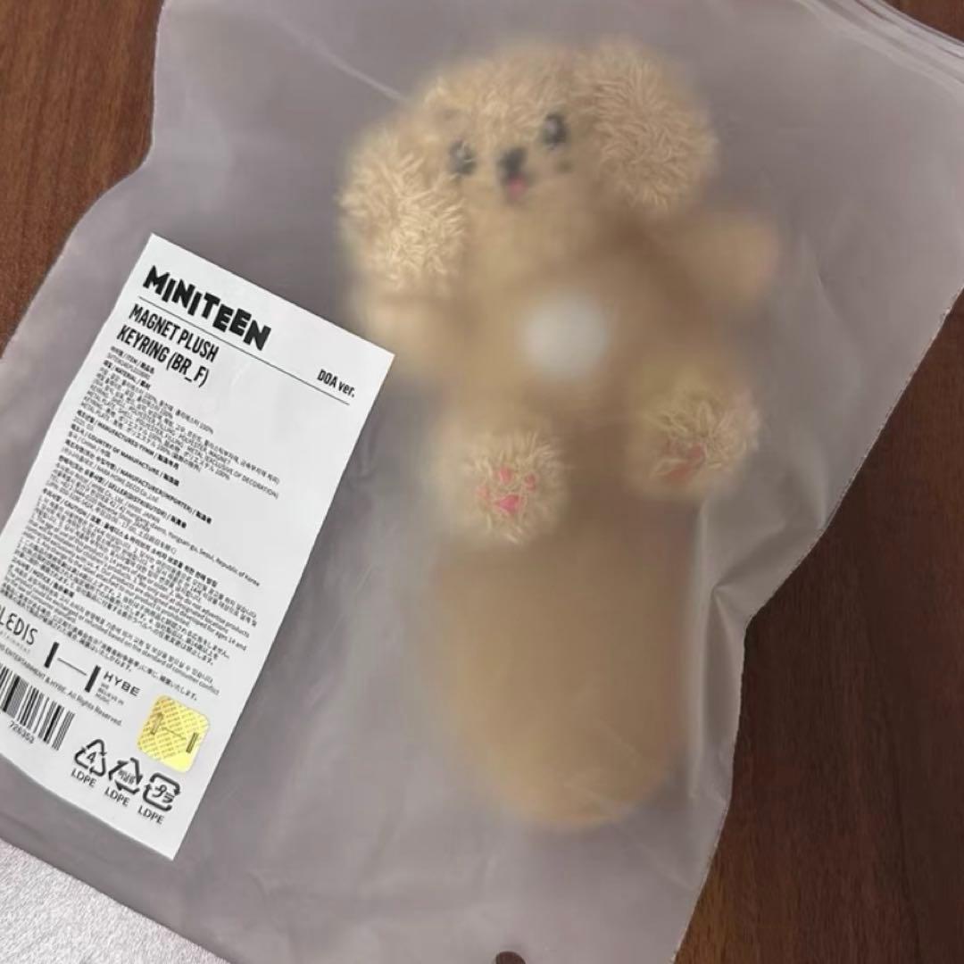 ミニティーン　ドア　キーリング　SEVENTEEN ドギョム セブチ ミニティーン ドア DOA ドギョム キーリング SEVENTEEN - メルカリ