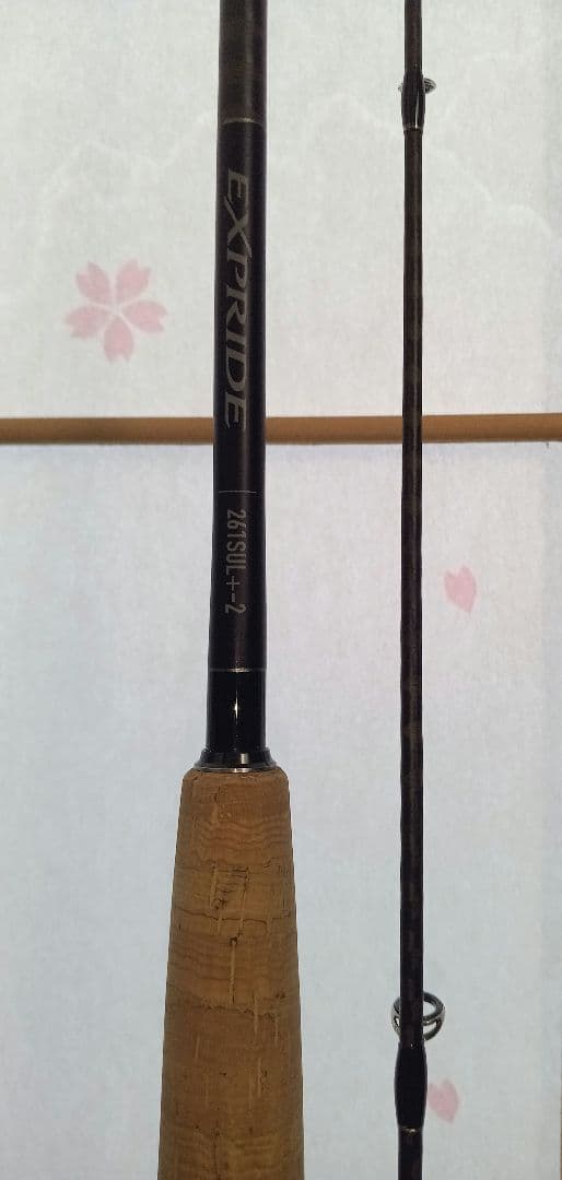 【専用】22 エクスプライド 261SUL+-2 image1091z.jpg