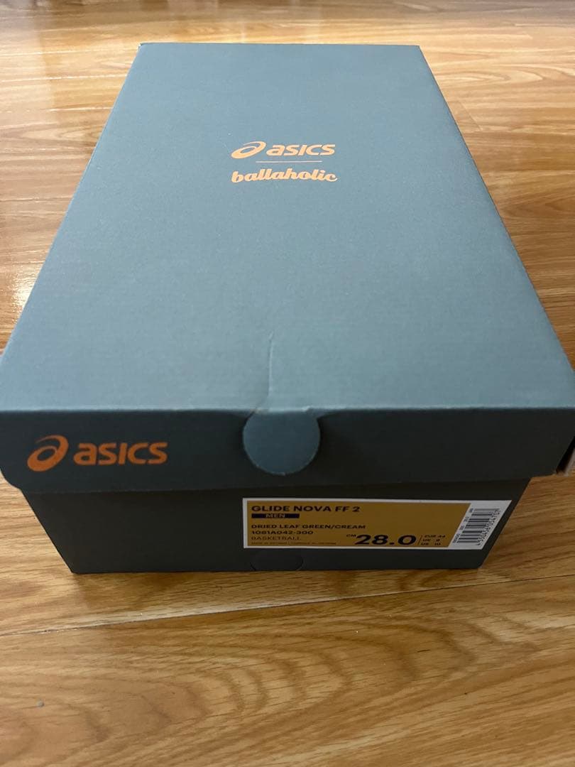 ボーラホリック ASICS GLIDE NOVA FF 2 28.0cm