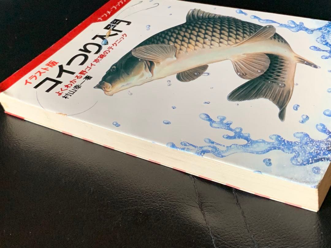 【稀少】イラスト版　コイつり入門　村山幸一著　ナツメ社