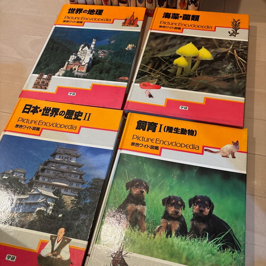 原色ワイド図鑑 １８冊セットPicture写真集