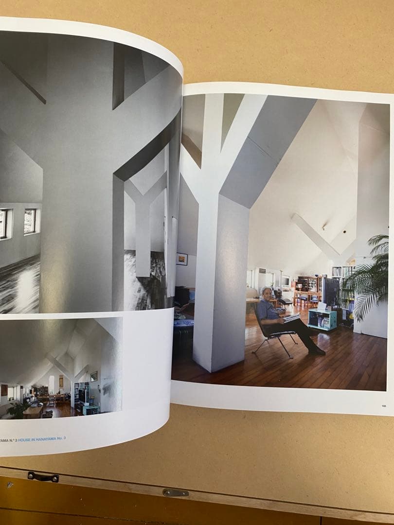 2G No.58/59 Kazuo Shinohara　篠原一男