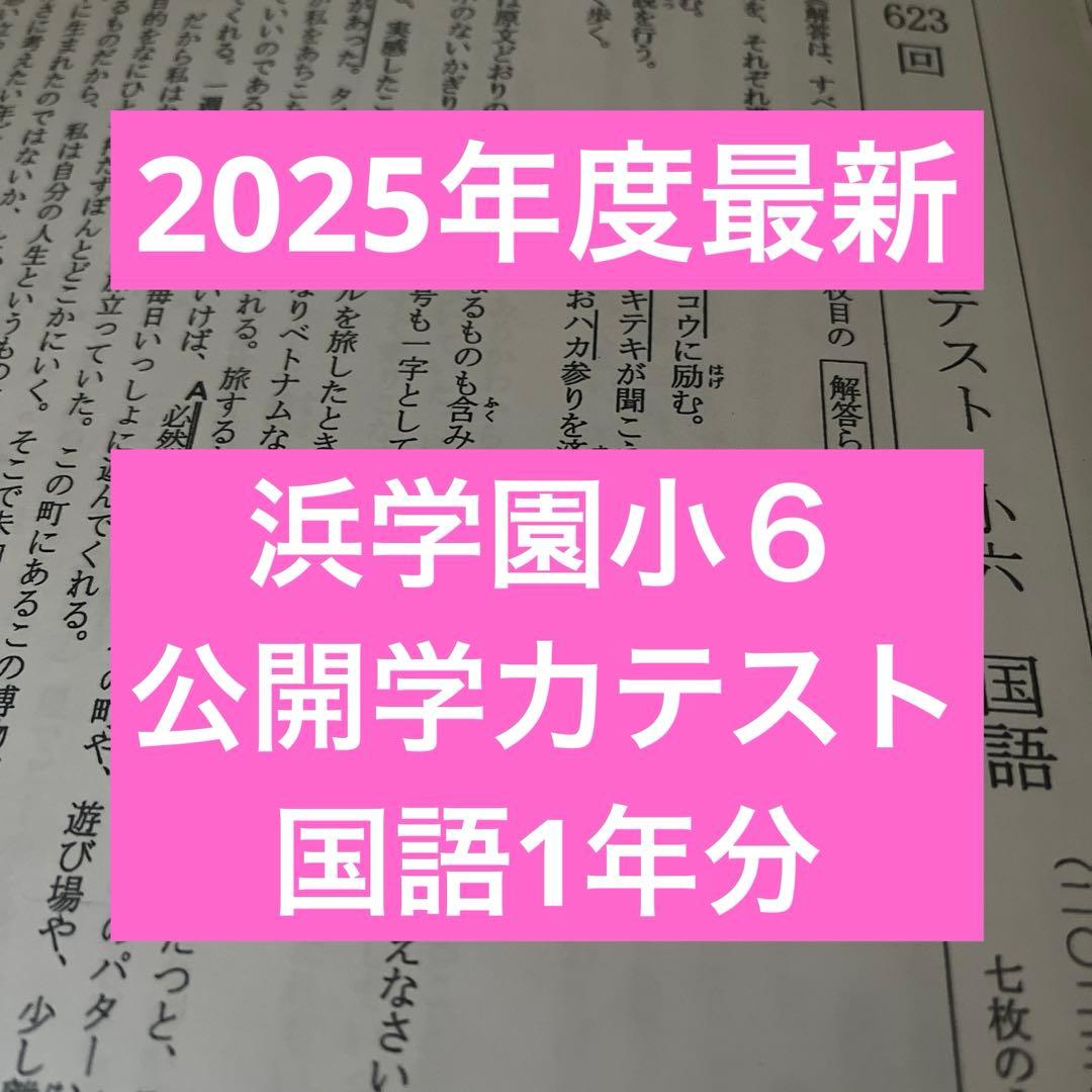 2025年度最新 浜学園小6 公開学力テスト 国語1年分 - メルカリ