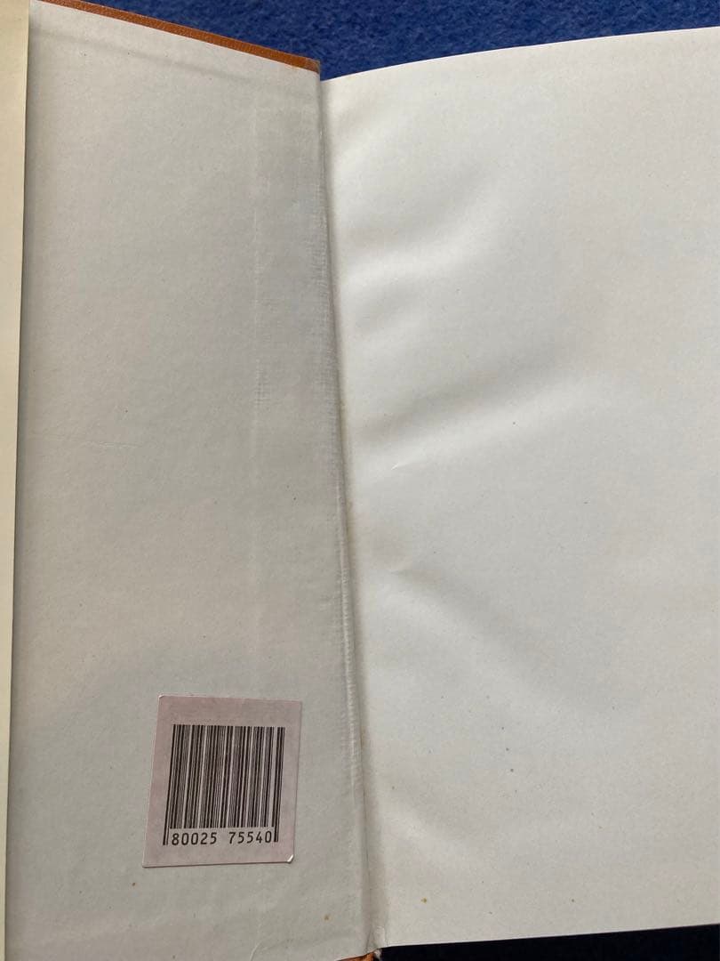 新汉日词典　（新漢日詞典）